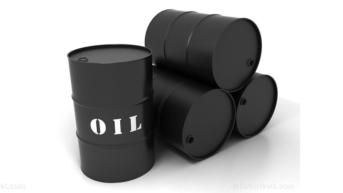 The Zelenko Report: OPEC’s 2M-barrel supply cut a political statement, says Ann Vandersteel – Brighteon.TV