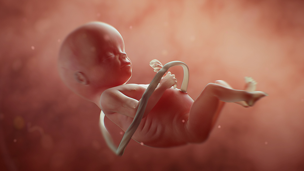 Human farming: Artificial womb facility provides glimpse of pregnancy in the future