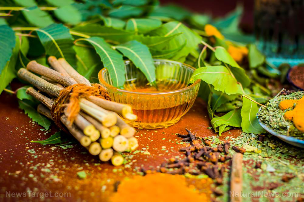 Ayurveda cures all 65,000 patients of covid in Indian town
