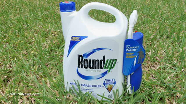 MIT scientist warns that glyphosate is our environment’s most destructive chemical