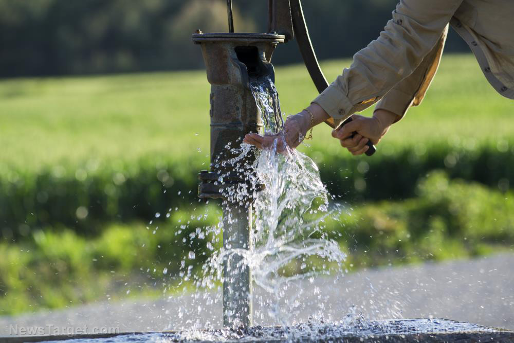Survival 101: What to do when your water supply is disrupted